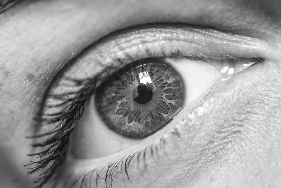 优美的表白句子(精选43条)