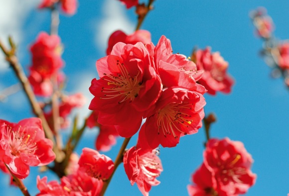 描写天气好优美句子36句