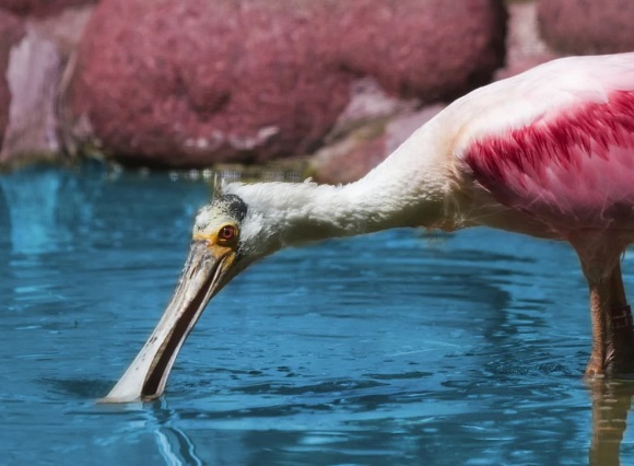 高情商简短的送别离职同事的句子汇总五十六条