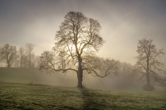 表达错过的遗憾的句子(精选41句)