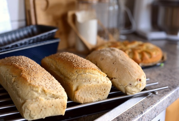 关于陪伴的句子精选64条