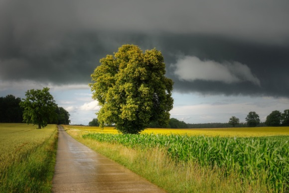 中秋节的句子简短唯美37条
