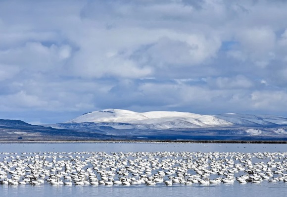 晚霞唯美的短句子(精选62条)
