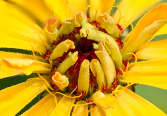 看淡一切无所谓的句子收藏