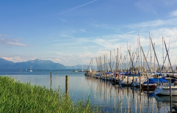 感谢别人的句子(摘抄43句)