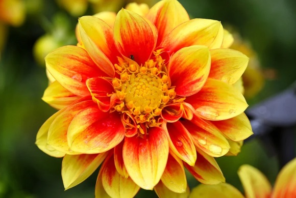 励志的留言的句子简短(摘录30条)