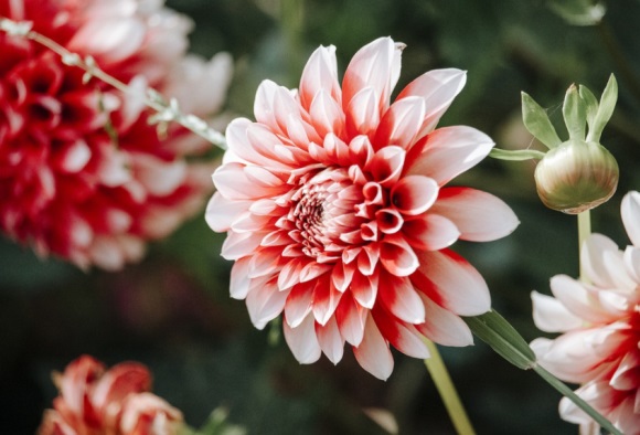 医生格言句子简短(64条)