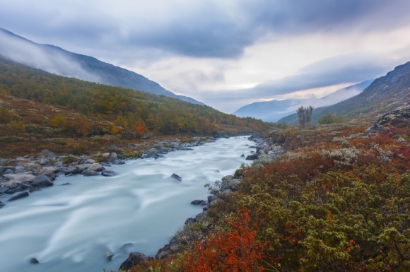 精选美食的文艺句子集合(28句)