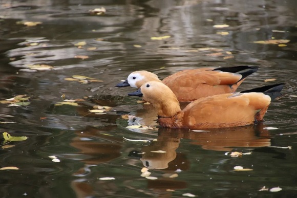 最好的我们的句子38条
