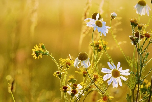 一个人坚强的句子39句