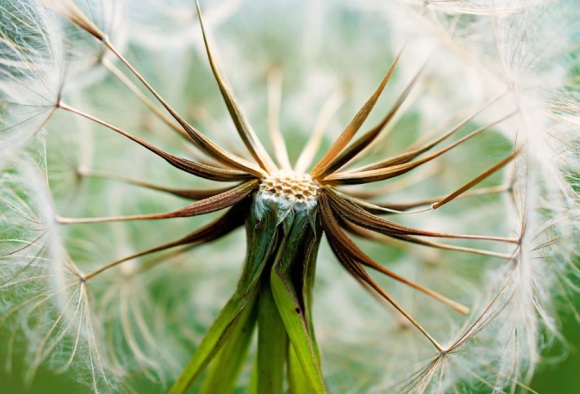 关于青春的唯美简短句子(精选38条)