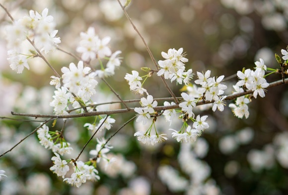 伤感内涵句子53条