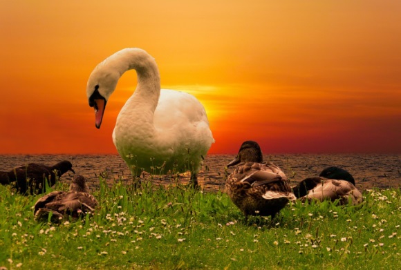 致闺蜜情的霸气句子精选(58句)