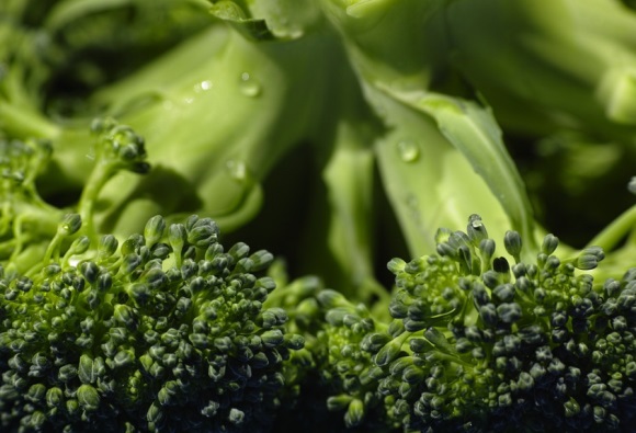 关于自己的句子简短收藏52句