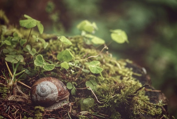 一个人孤独的优美句子28句