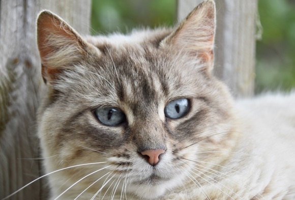 让女生感动暖心的句子53句