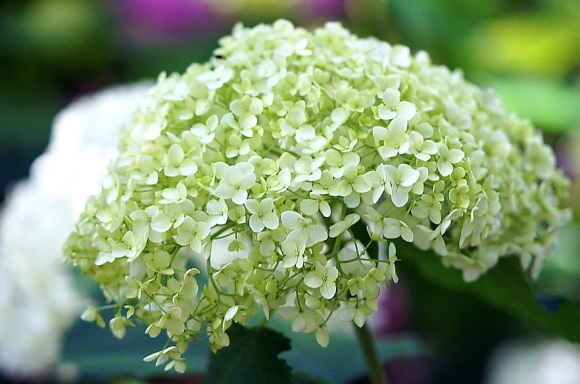 文言文优美句子摘抄大全30句