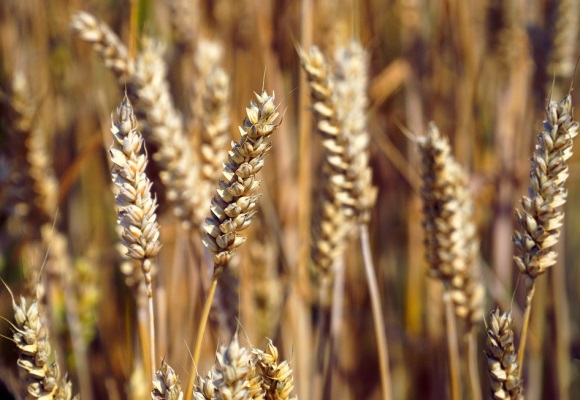 长大后保持童心的唯美句子