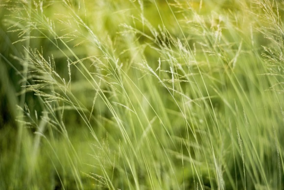 对生活的态度的句子(简短66条)