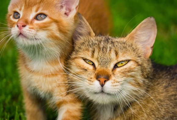 英文句子唯美简短励志精选