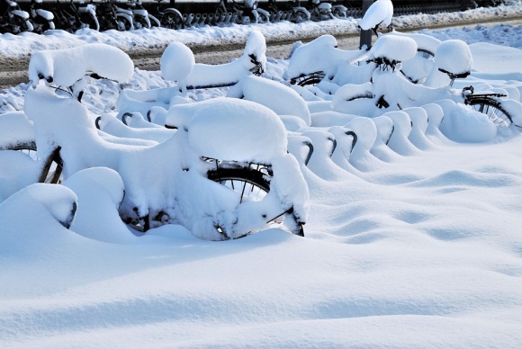 关于梦想的优美句子集合61条