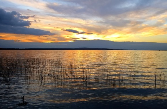 感谢抖音相遇的唯美句子51条