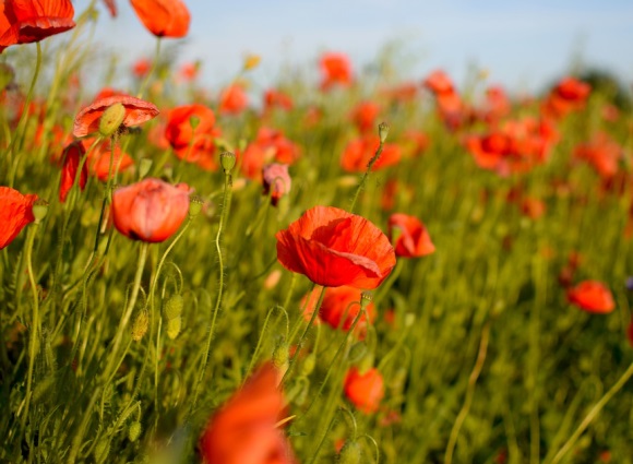 朋友聚餐的句子精选