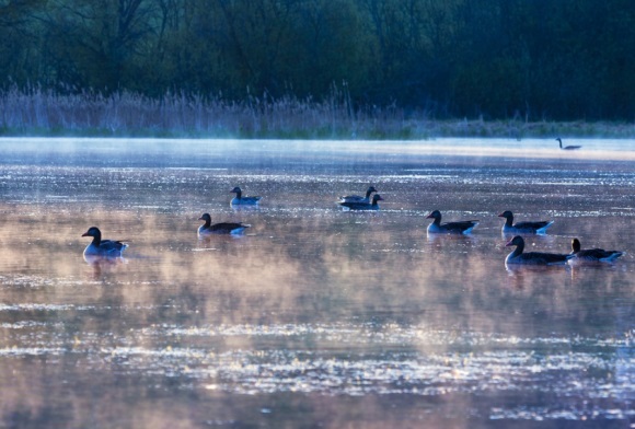 一串英文字母的网名(146个)