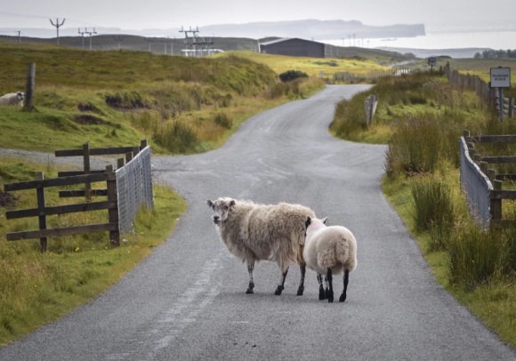 好听浪漫的英文名字(141个)