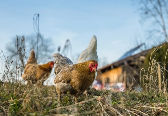 励志创业的网名(优选149个)