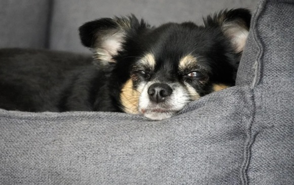 励志学习女生qq网名(152个)