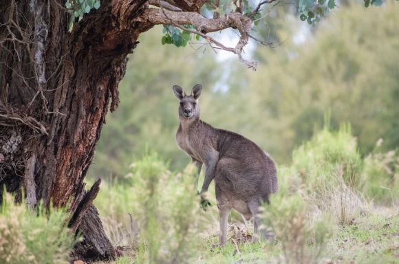 女生悲伤心碎网名设计(144个)