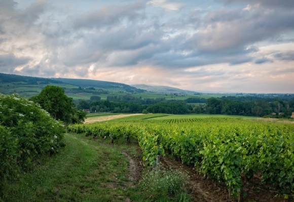 纯净且高级感的网名(优选146个)