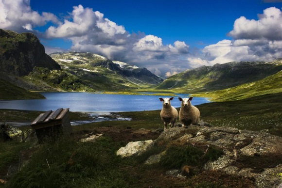 非主流帅气网名(111个)