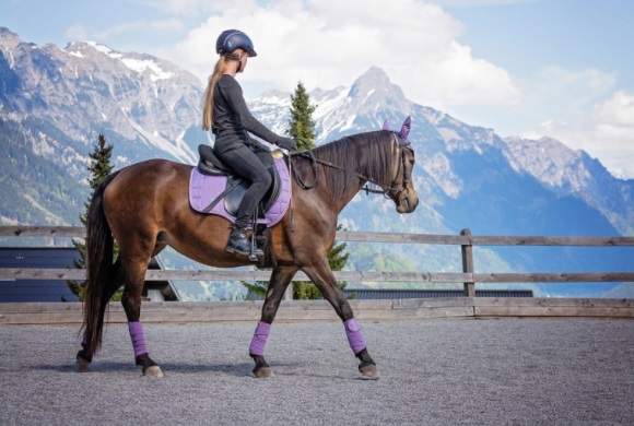 超级搞笑传奇角色名字大全(139个)