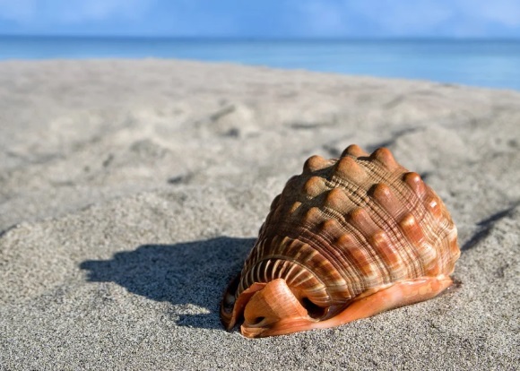 听起来比较狠的名字(优选144个)