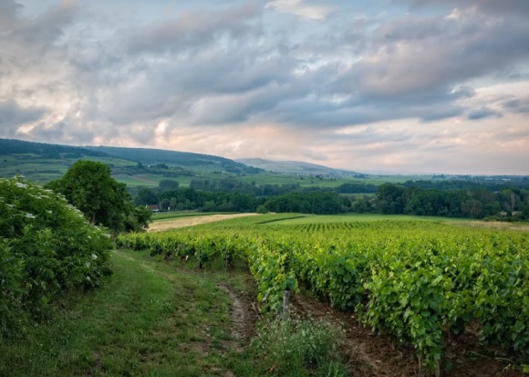 玩守望先锋该取什么好听的网名(141个)