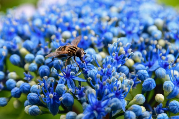 心痛绝望的网名女生(优选132个)