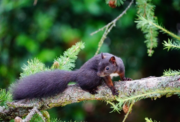 自恋帅气男生网名(优选145个)