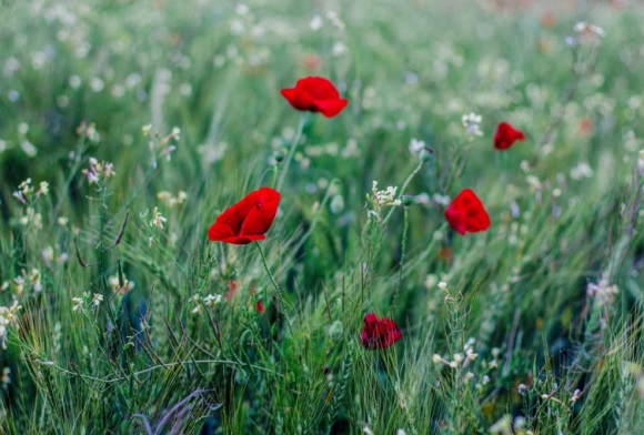今年最火网络的昵称(精选146个)