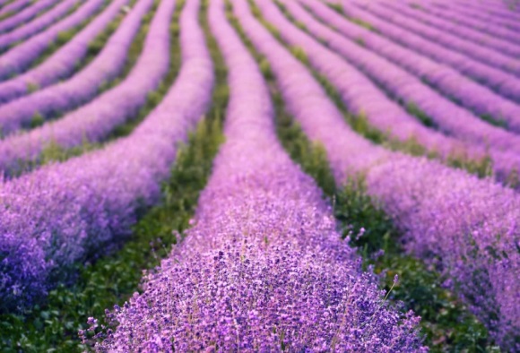 男生心碎的qq失恋网名(125个)