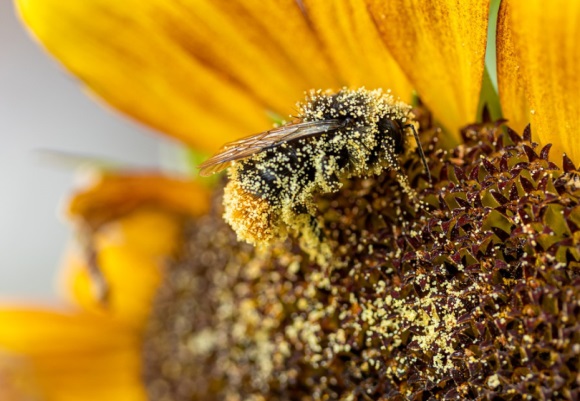 情侣qq火星文网名(优选87个)