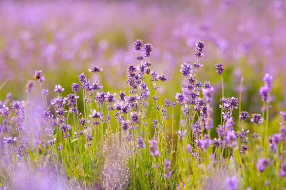 霸气外露的网名(优选139个)