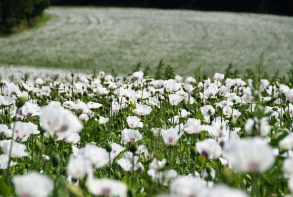 失落伤感中带着文艺的网名(共135个)