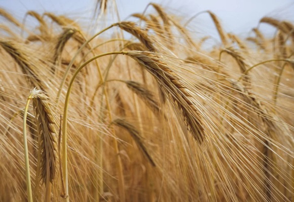 悲催的爱情qq网名(精选141个)