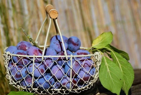 高冷的欧美网名(共131个)