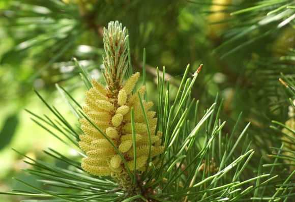 高冷御姐网名四个字(优选142个)