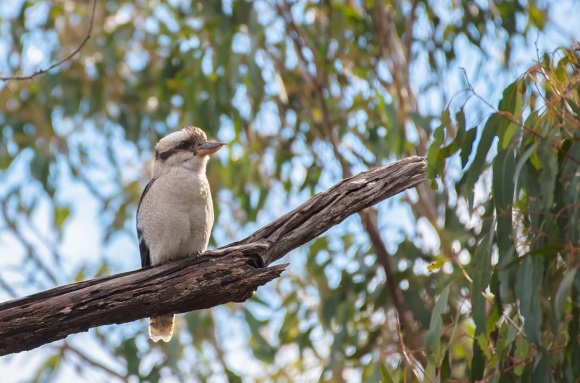 类似于小仙女的昵称(优选138个)