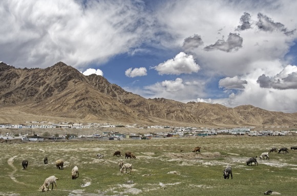 温馨简短唯美的女生网名(共142个)