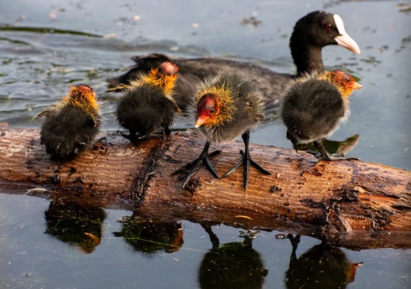 高冷御姐游戏名(共142个)